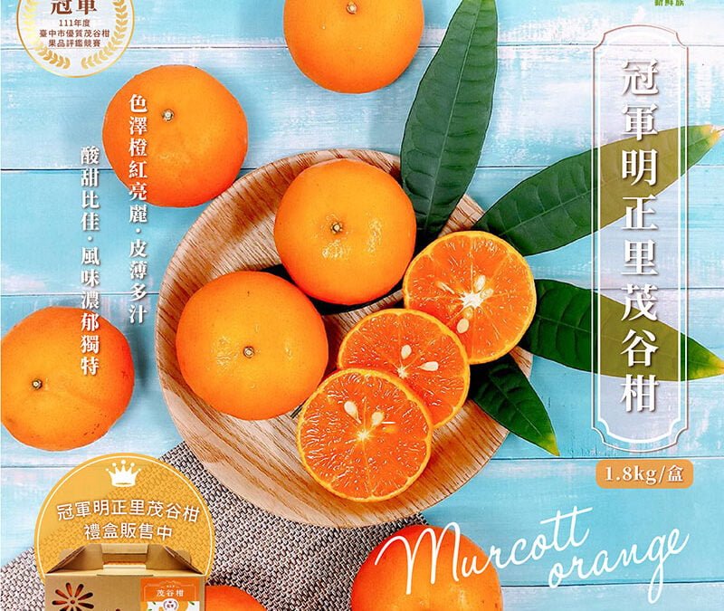 【新品上市】冠軍明正里茂谷柑