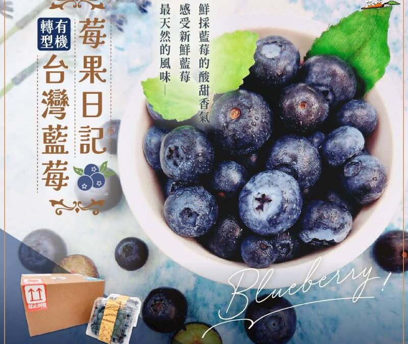 【新品上市】莓果日記 台灣藍莓