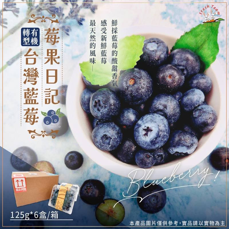 【新品上市】莓果日記 台灣藍莓