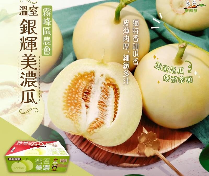 【新品上市】溫室銀輝美濃瓜
